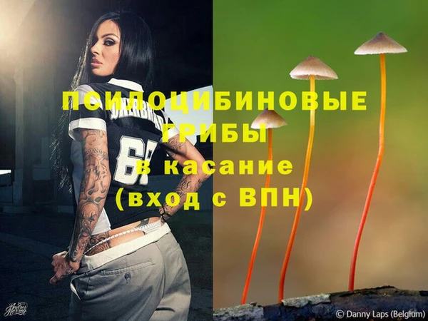 jwh Алзамай