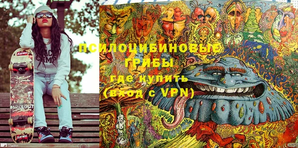 спайс Алексин