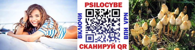 где продают наркотики  Арск  Галлюциногенные грибы Cubensis 